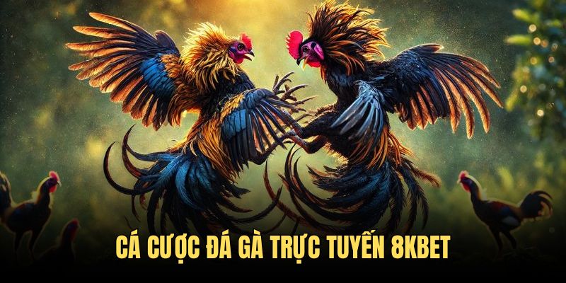 Kê trường 8KBET đẳng cấp và sôi động